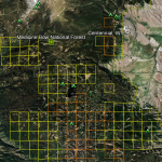 Wyoming Gold Map