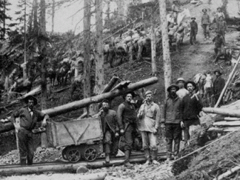 Colorado Gold Mines