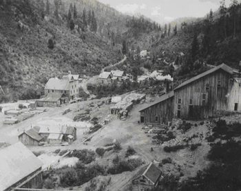 Washington Gold Mines